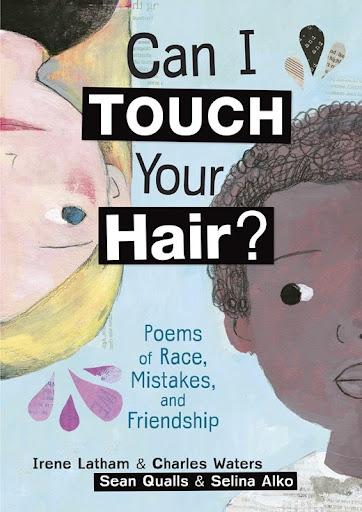 Can I touch your hair, poems, book, racial justice